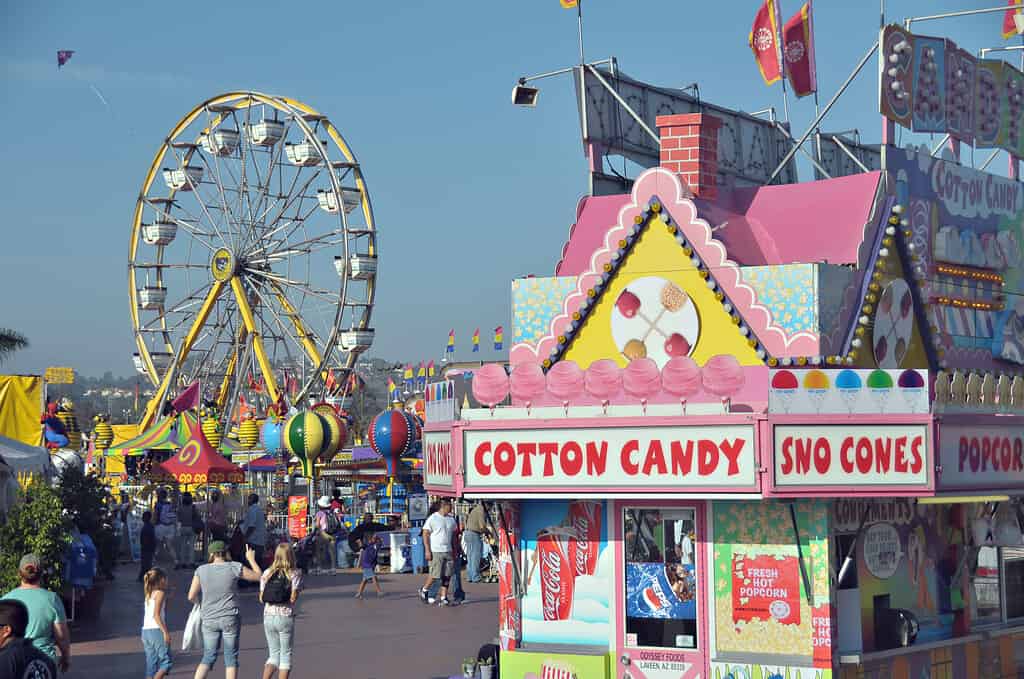 Del_Mar_Fair, also called the San Diego County Fair