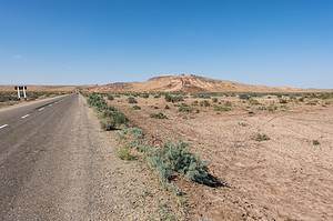Kyzylkum Desert Picture