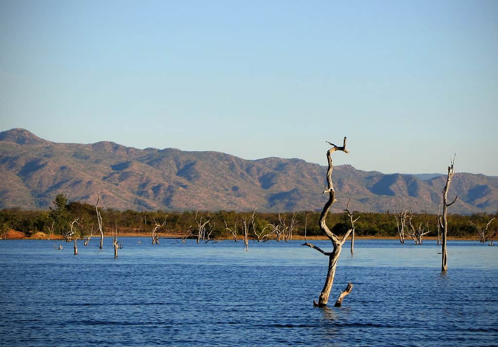 A picture Lake Kariba.