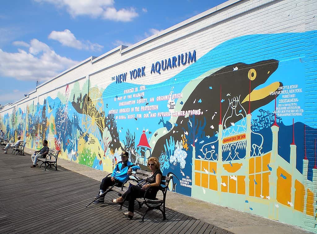 New York Aquarium, Coney Island, Brooklyn