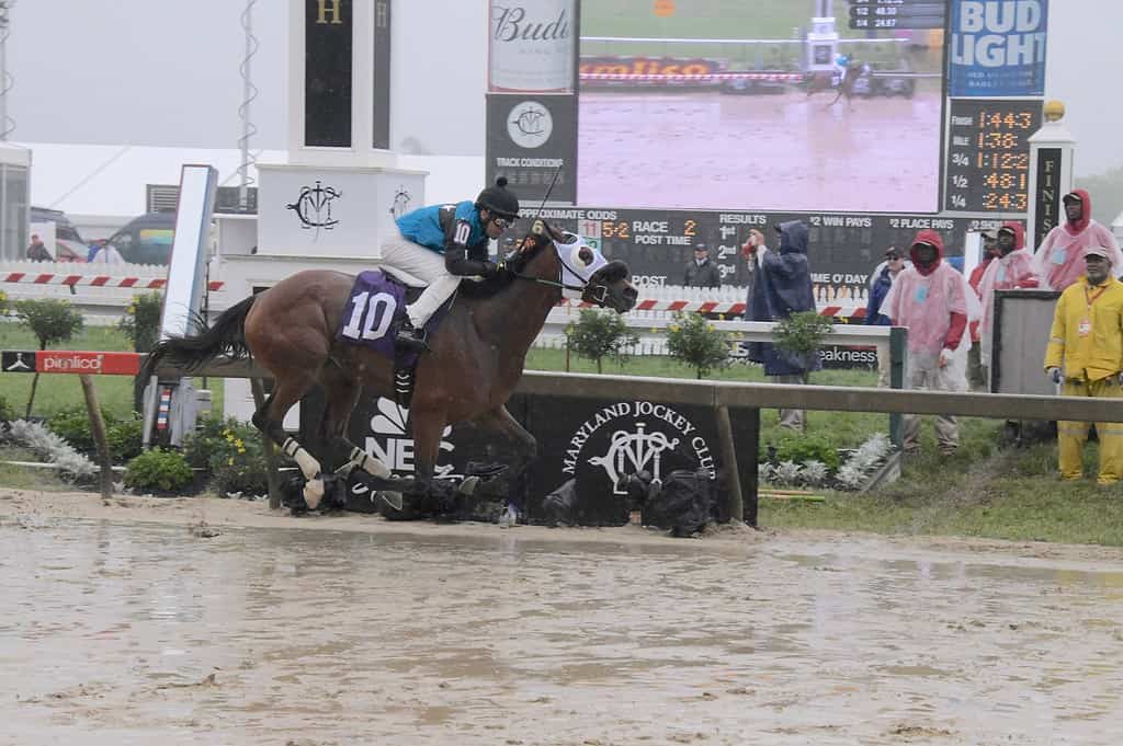 The 2018 Preakness Stakes featured a sloppy track.