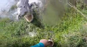 Gator’s Near-Miss: Watch This Man Escape the Hungry Beast by a Whisker Picture