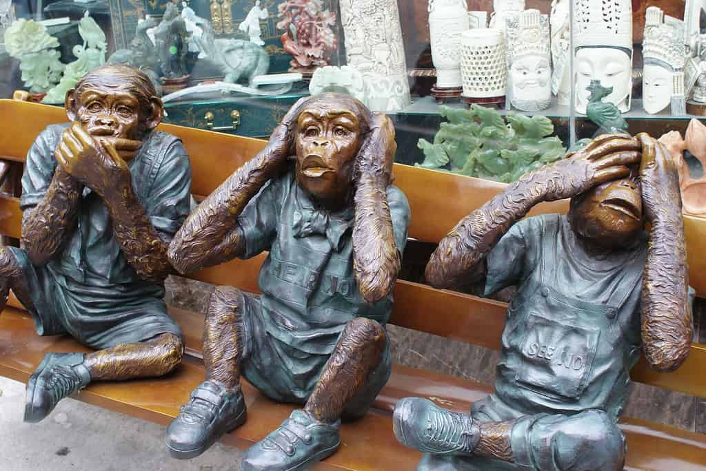 the three wise monkeys