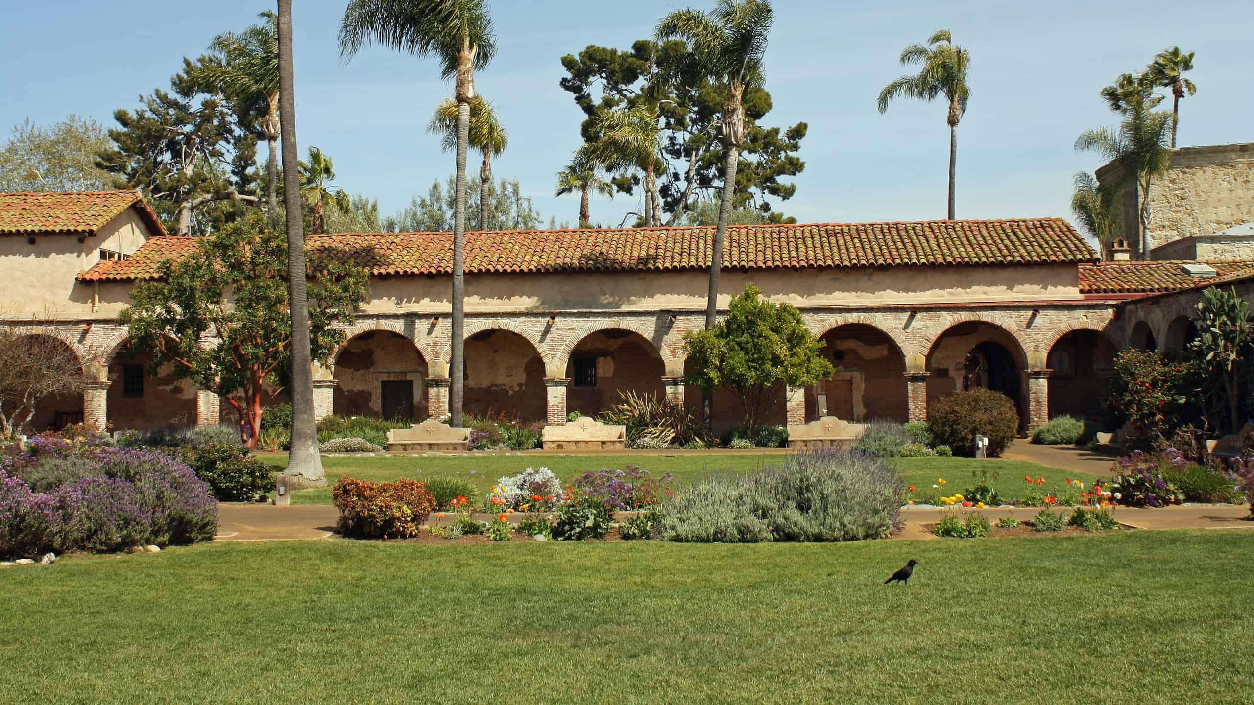 A long building with arches sits between palm trees. 