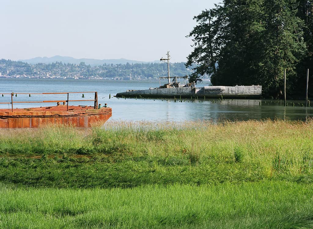 Shipwreck on the Columbia River 