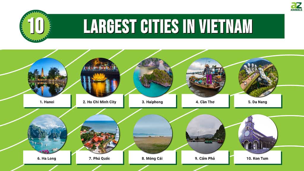 Infographic of 10 Largest Cities in Vietnam