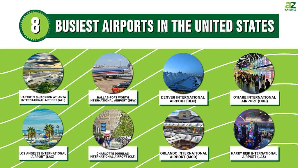 These Are Busiest Airports in the World Right Now - Thrillist