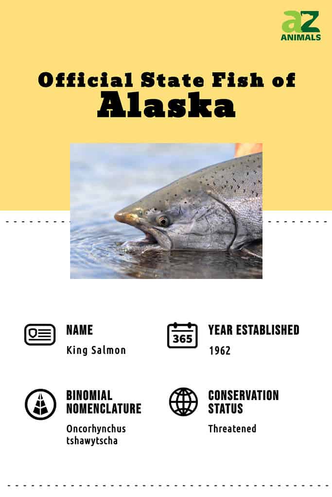 State fish of Alaska