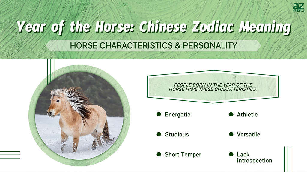 Chinese Zodiac Horse