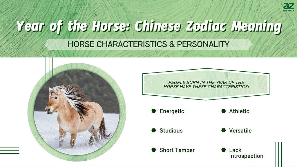 Year Of The Horse Chinese Zodiac Meaning And Years A Z Animals