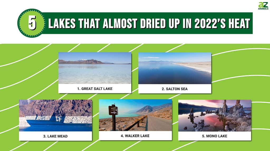 Infographic of Lakes That Almost Dried Up in 2022’s Heat