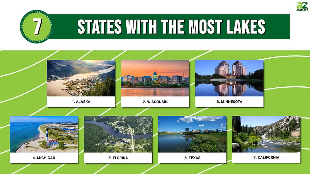 States With the Most Lakes infographic