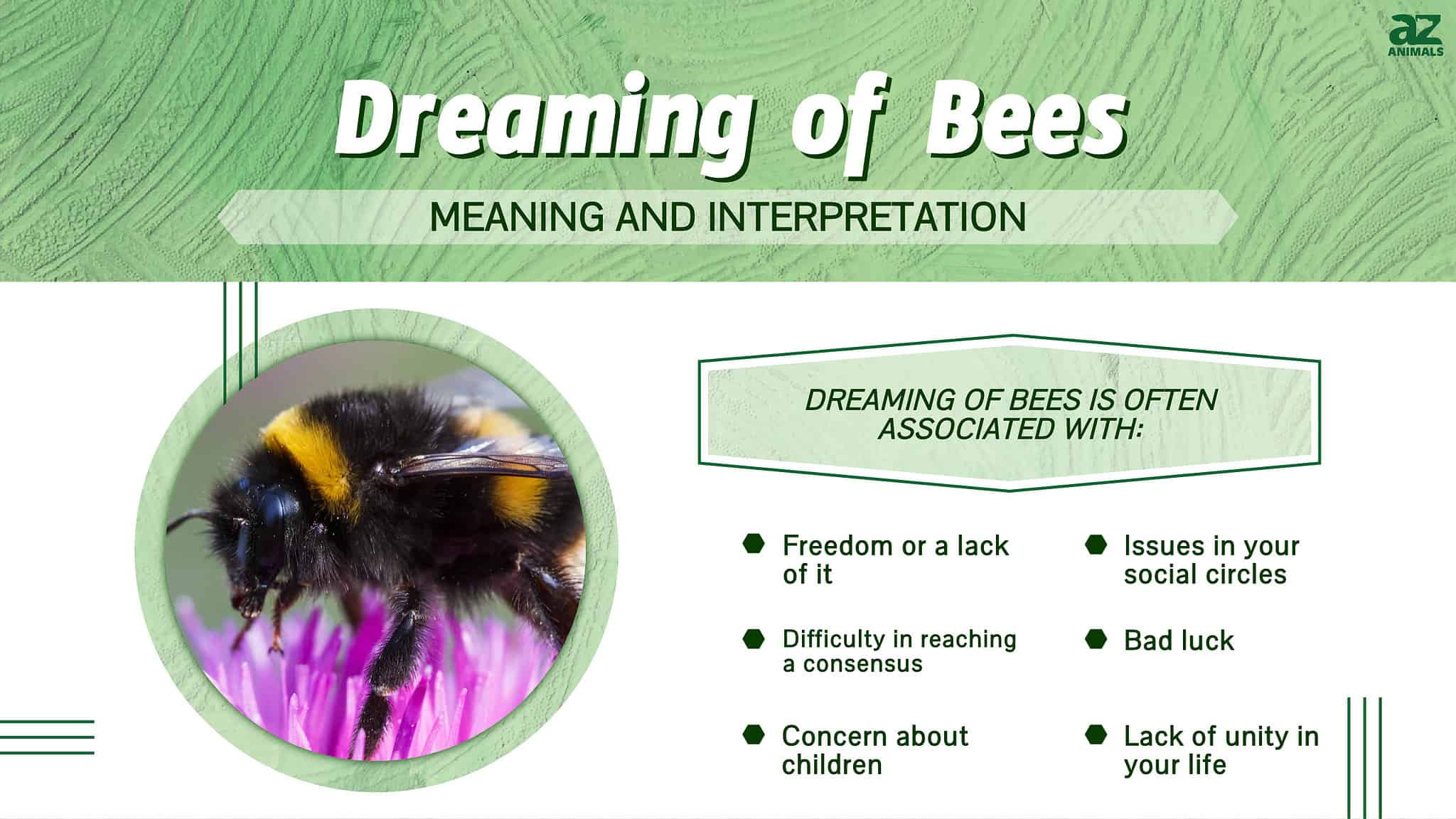 Dreaming of Bees Discover the Spiritual Meaning and Interpretation A