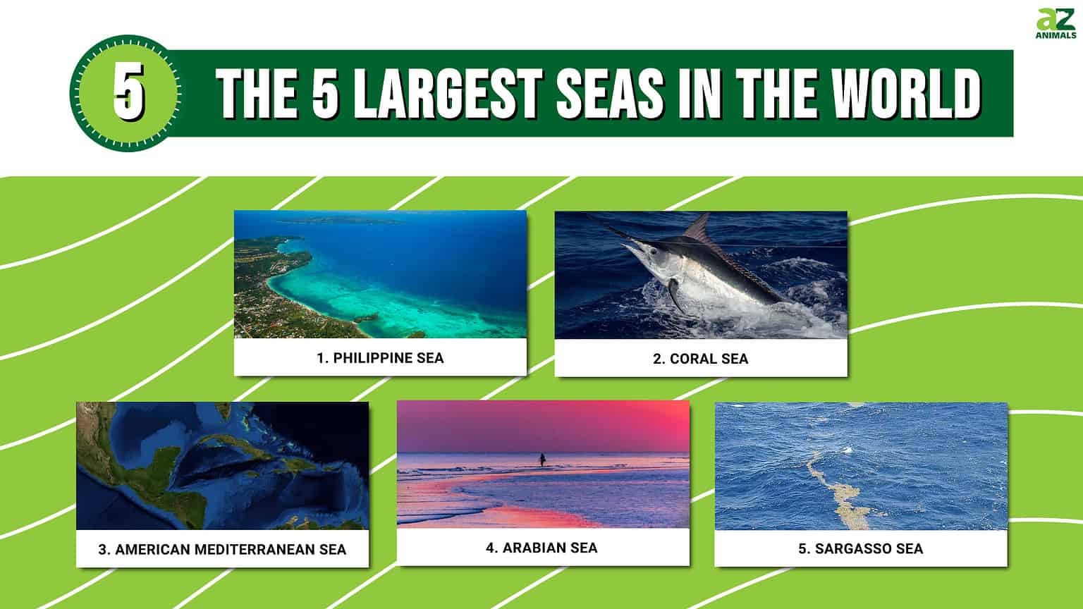 The 5 Largest Seas In The World - A-Z Animals