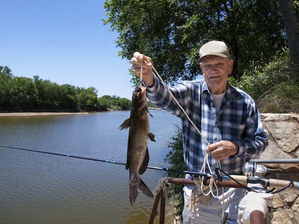Elderly man showing the catfish he caught in the river