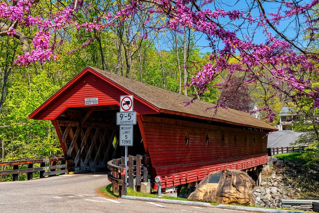 Newfield Covered Bridge In New York