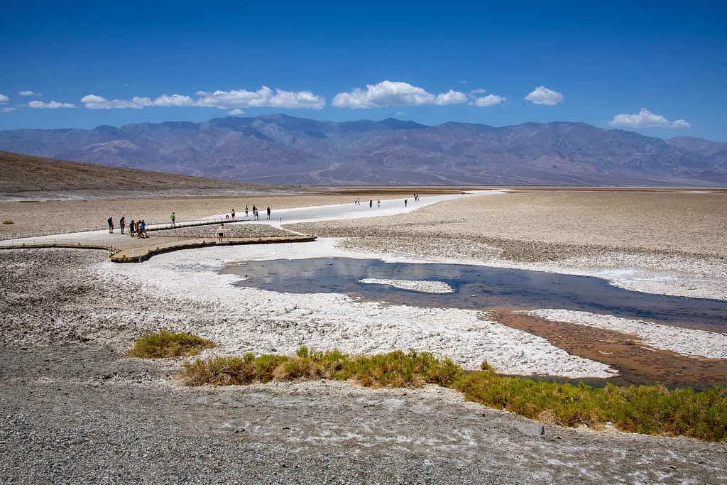 Badwater is located in Death Valley National Park. It is the lowest point in the United States at minus 282 feet below sea level. It is also the most visited attraction in the Park. Several tourists are visible exploring the site.Death Valley National Park, California, USA