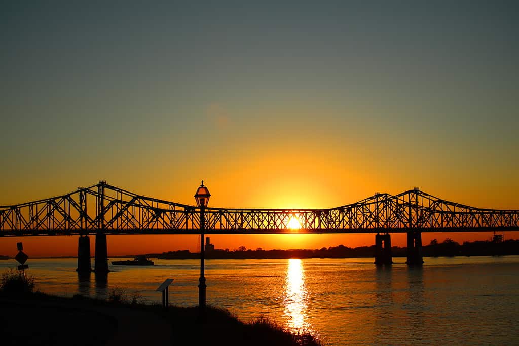 Natchez-Vidalia Bridge