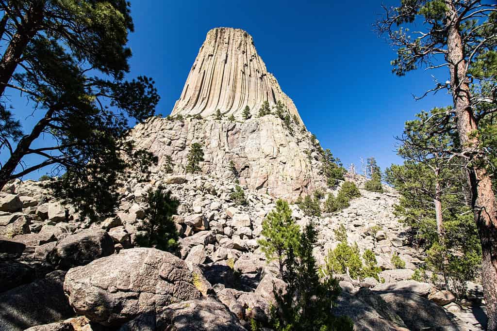 The national monument of Devils Tower in United States. most incredible rock formations in the united states