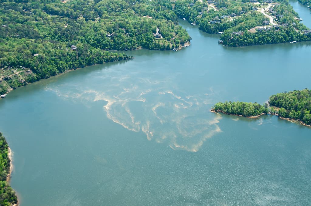 Lake Tuscaloosa- best Alabama lakes for swimming