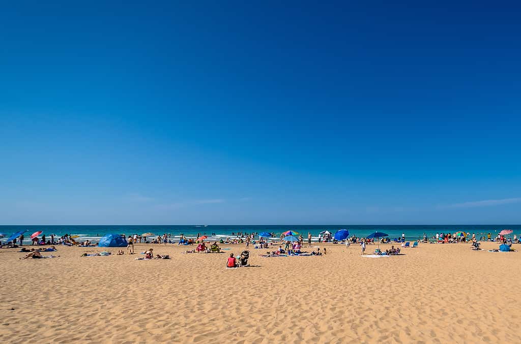 Indiana Dunes beach on a crowded day.