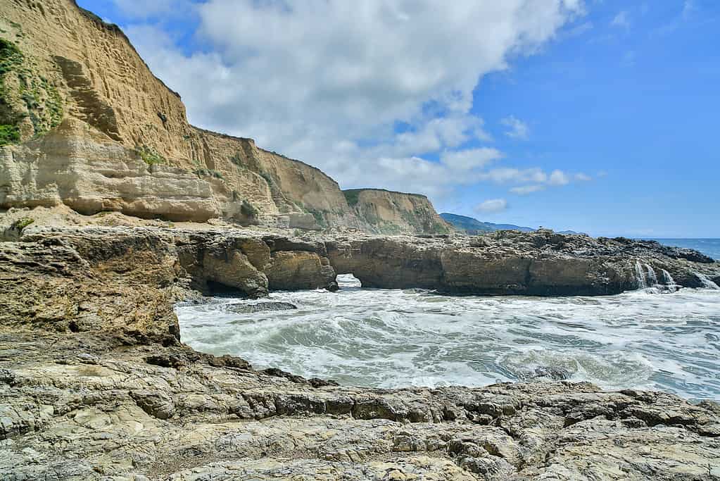 Sculptured Beach Cliffs of the Pacific Ocean in Point Reyes National Seashore