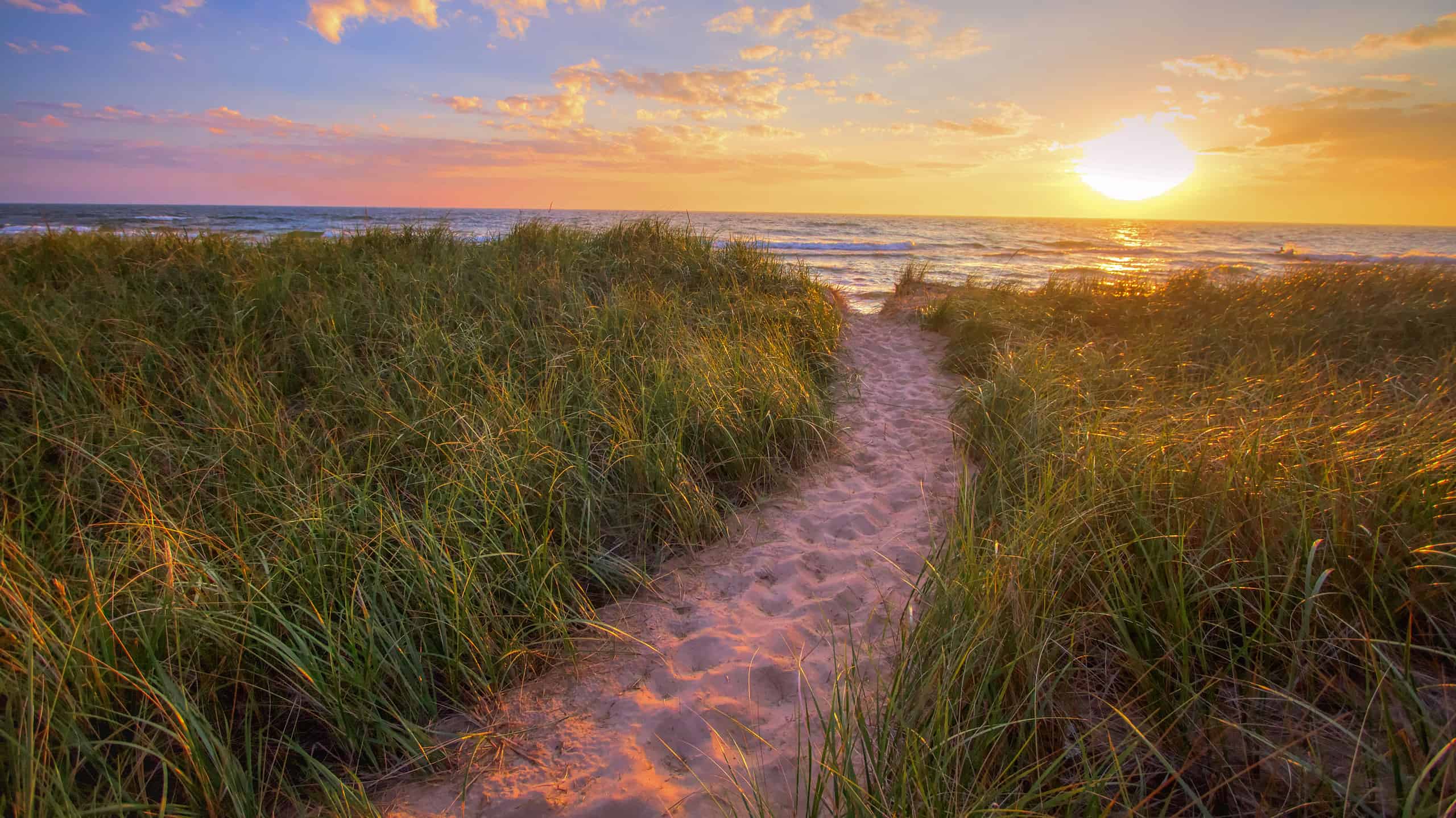 Sandy beach trail winds through dune grass to a sunset horizon on the shores of Lake Michigan in Hofffmaster State Park.