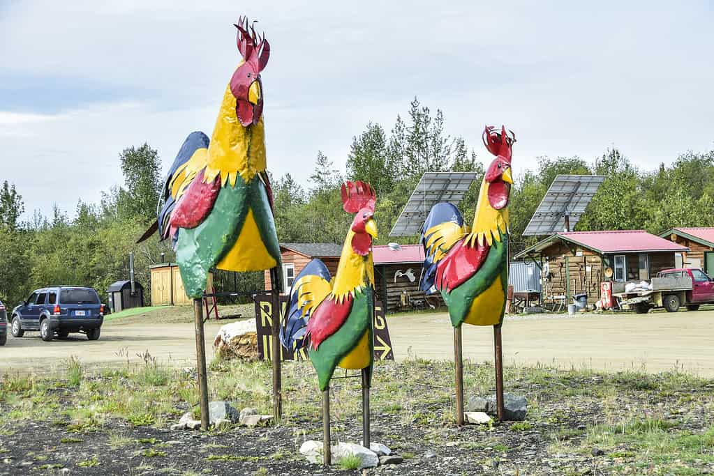 Colourful sculptures greet you as you enter the very small town of Chicken, Alaska.