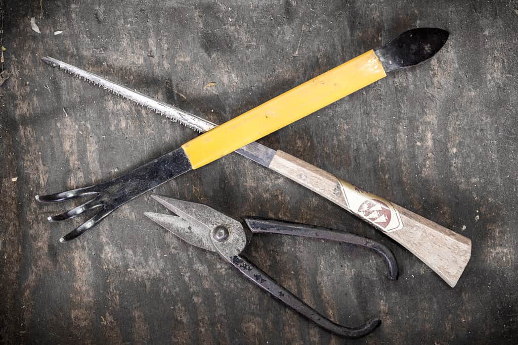 Old Bonsai tools, saw, pruner and rake