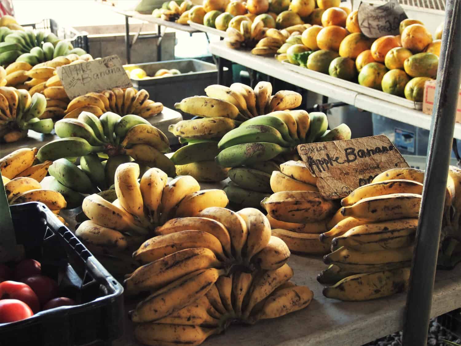 Apple Bananas with Old Cardboard Sign on Table at Farmer's Market in Hawaii