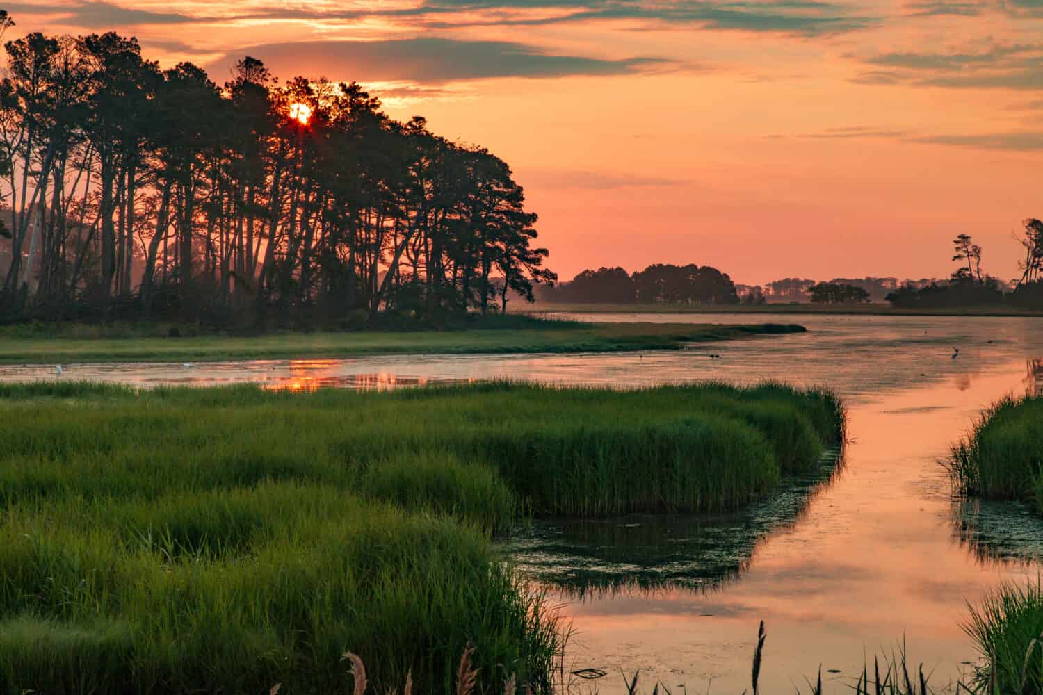 Sunset in the marshes of Chincoteague National Wildlife Refuge in Virginia