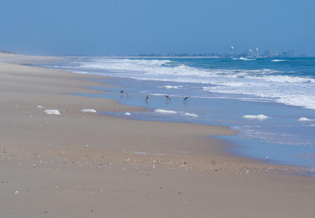 Accessible only by boat, the Beach of Masonboro Island State Natural Area and Nature Preserve is seven miles of pristine, untouched beach