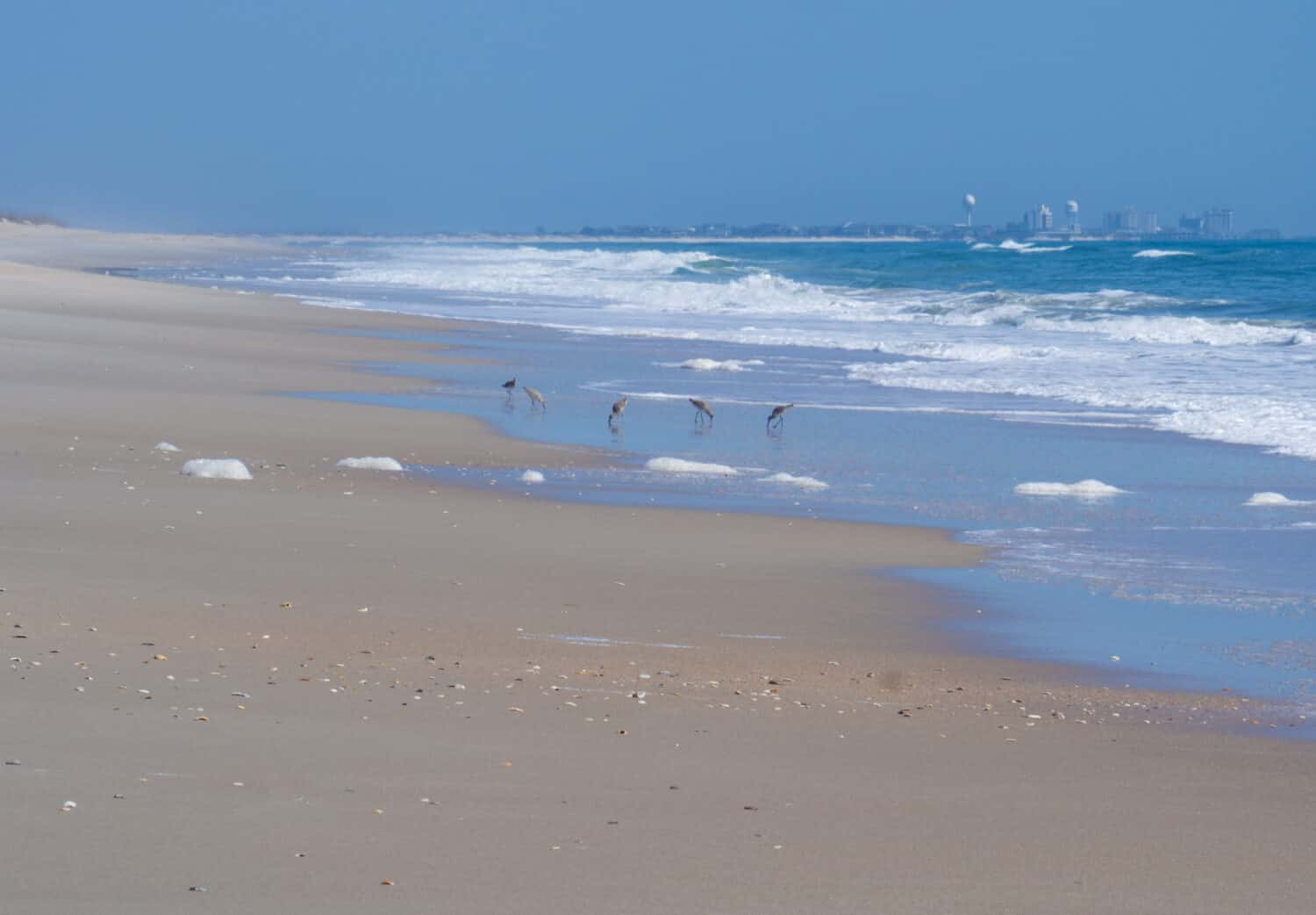 Accessible only by boat, the Beach of Masonboro Island State Natural Area and Nature Preserve is seven miles of pristine, untouched beach