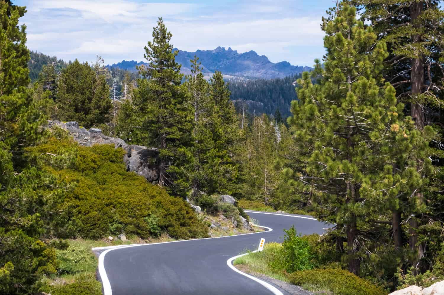 Highway 4 is a Curvy Mountain Pass road  through a California Forest