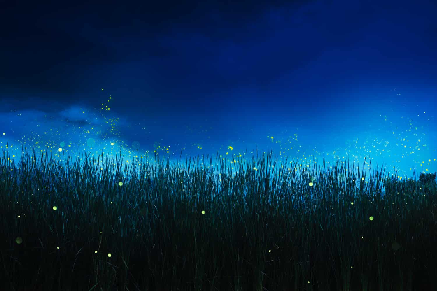 glowing fireflies on a grass filed at night