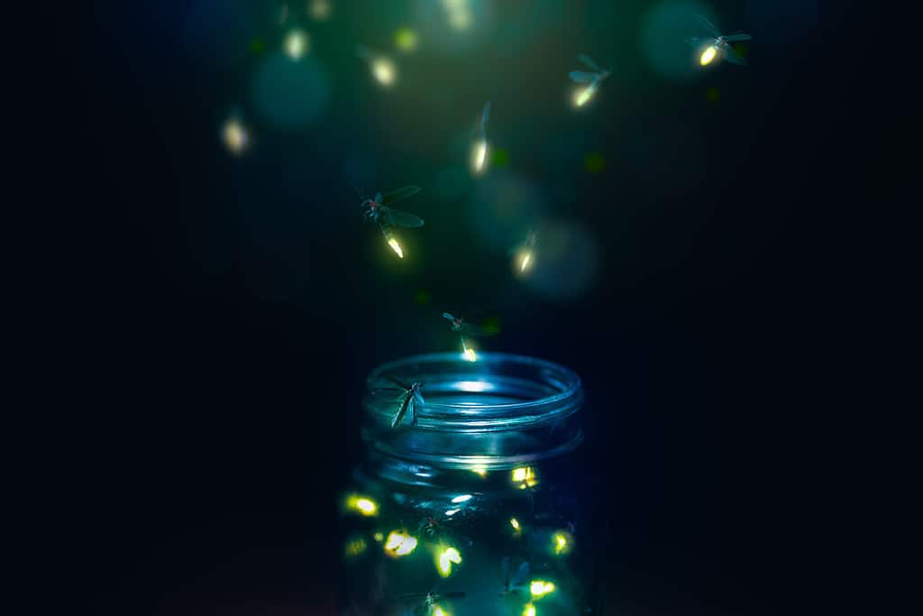 fireflies in a glass jar on a dark background
