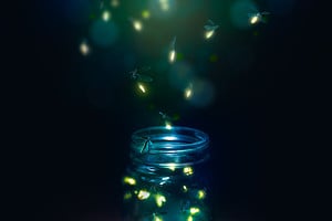 5 Steps You Can Take This Summer to Attract More Fireflies (Lightning Bugs) to Your Yard Picture