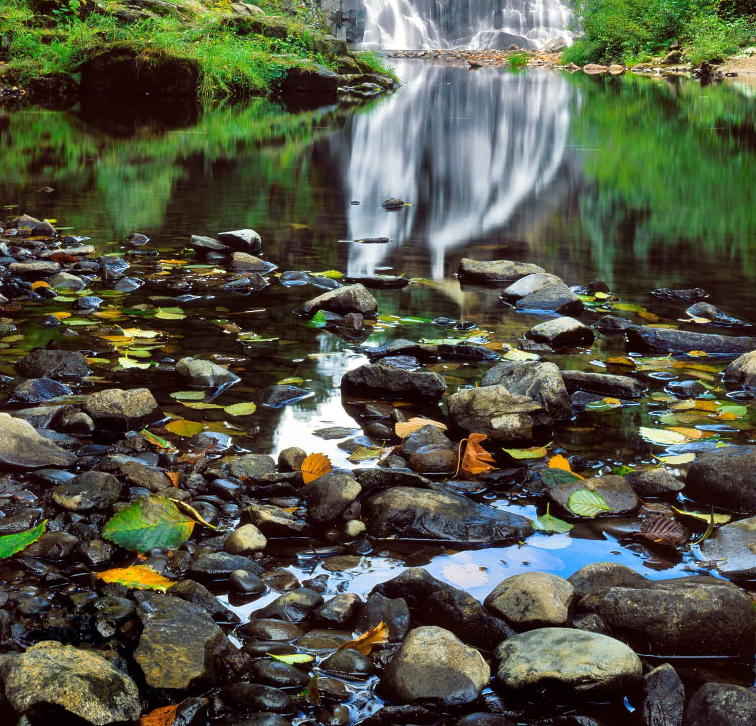 USA, Oregon, Young's River Falls. Waterfall landscape. Credit as: Steve Terrill / Jaynes Gallery / DanitaDelimont.com