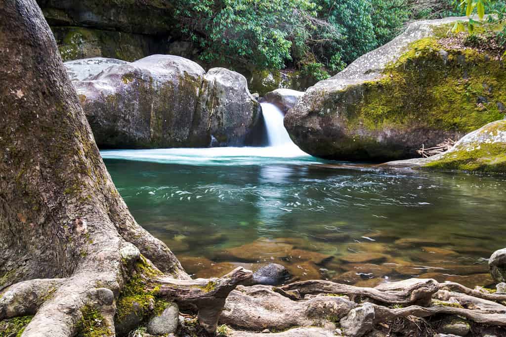 The Midnight Hole waterhole in the Smoky Mountains.