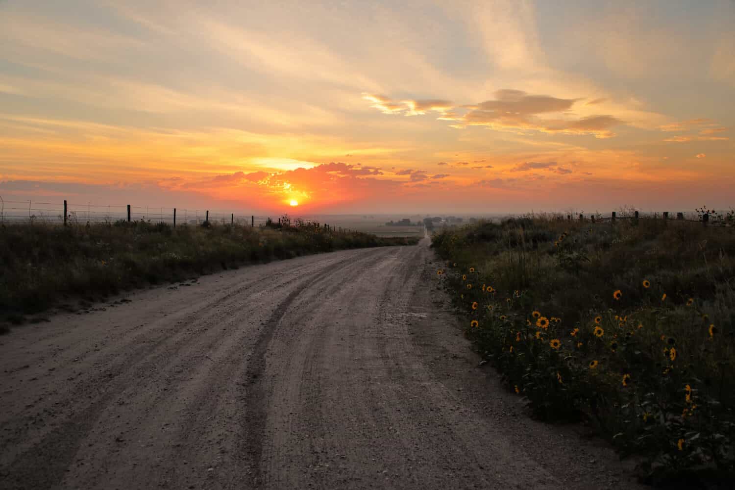 Dirt road at sunrise, North Platte River valley, western Nebraska, USA