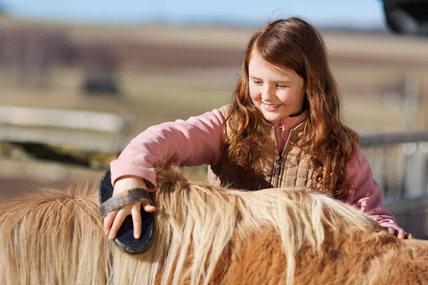 Cute pretty little teenage girl reaching over and brushing the mane of her pet pony