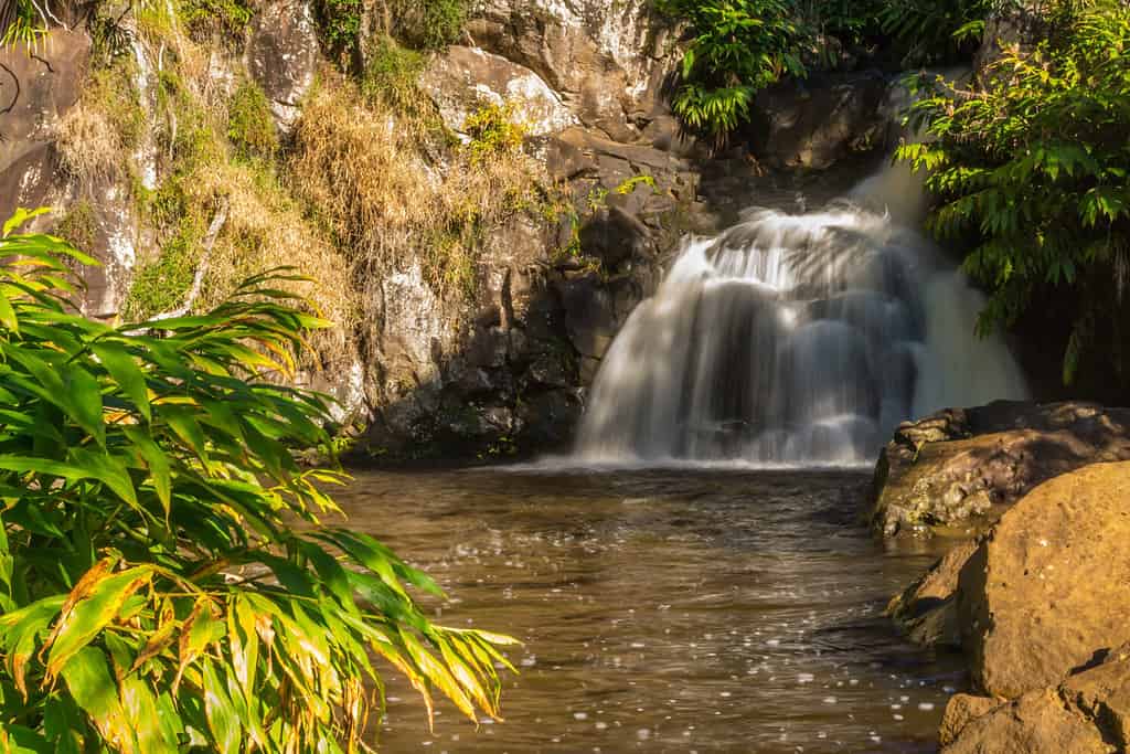 Long exposure of Waipo'o falls in Koke'e State Park on Kauai