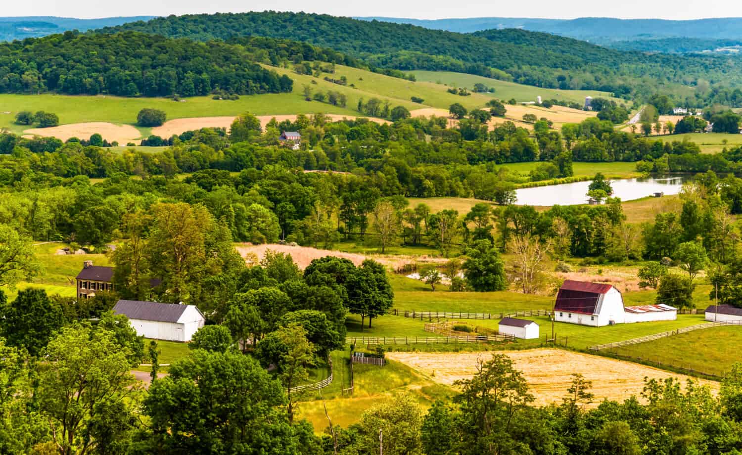 View of hills and farmland in Virginia's Piedmont, seen from Sky Meadows State Park.