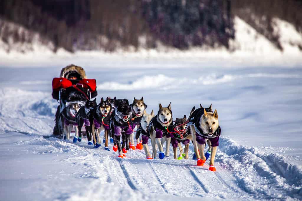 9 Coldest Rivers in Canada Will Chill You to Your Core