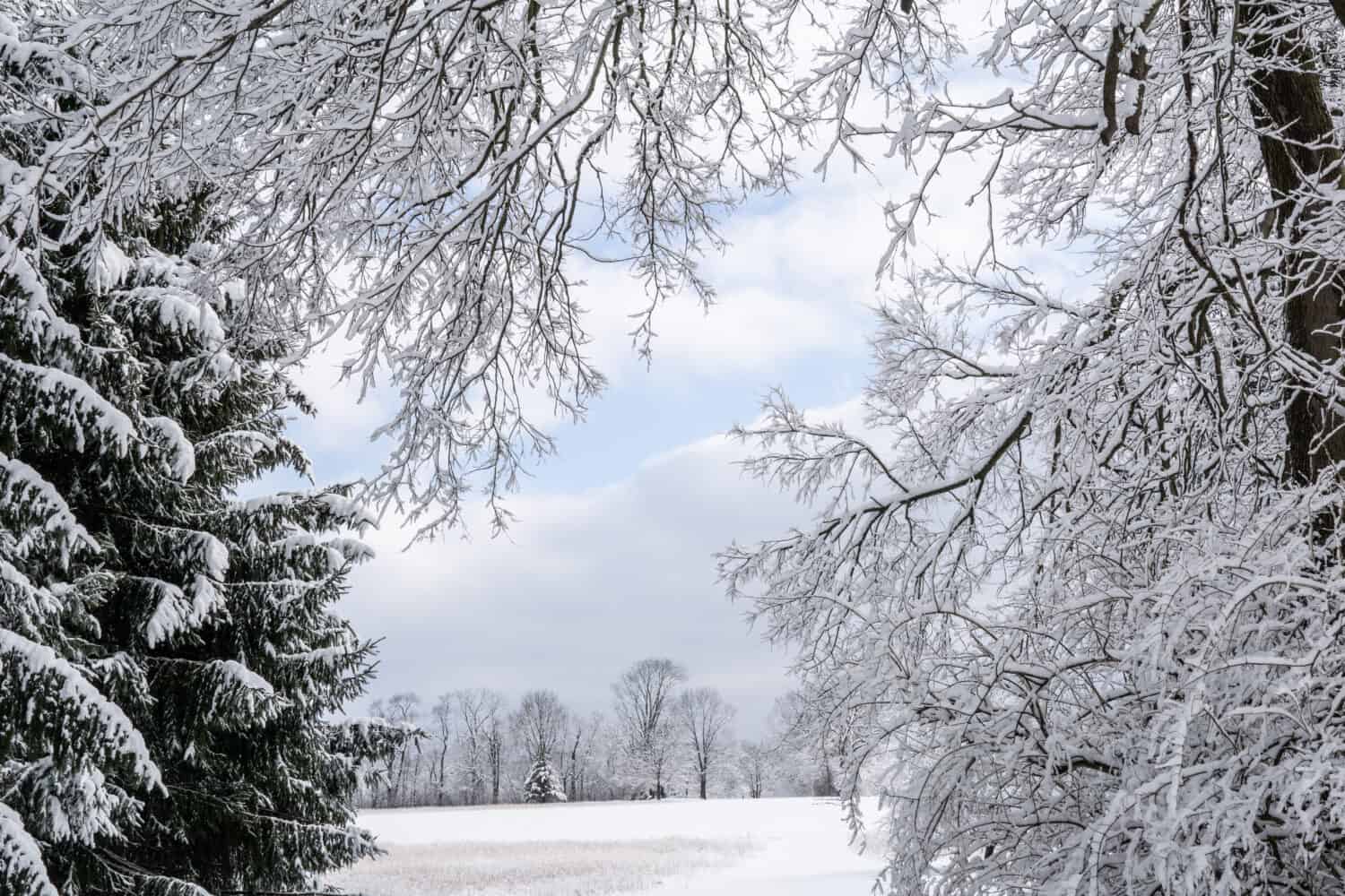 Walk in the park after a winter storm, photos of winter landscape in the Wyomissing Park, Berks County, Pennsylvania
