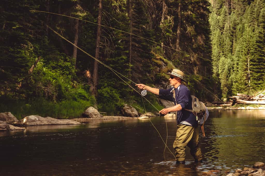 A fly fisherman fishing for wild trout on the mountain river in the forest in Northern Idaho.