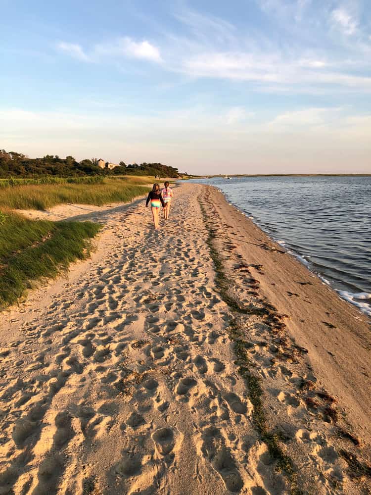 Beaches and marshes at protected land on Wasque, Chappaquiddick Island, Martha's Vineyard