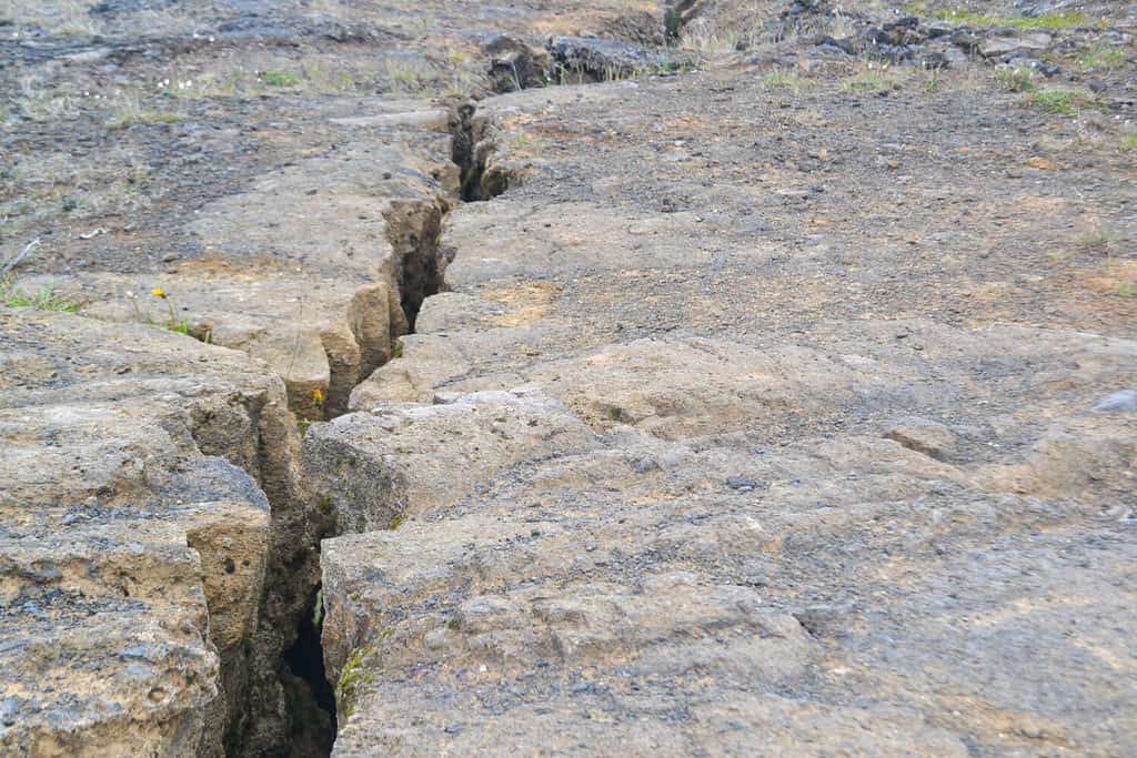 A geological fault is a fracture in the rocks of Earth's crust. 
