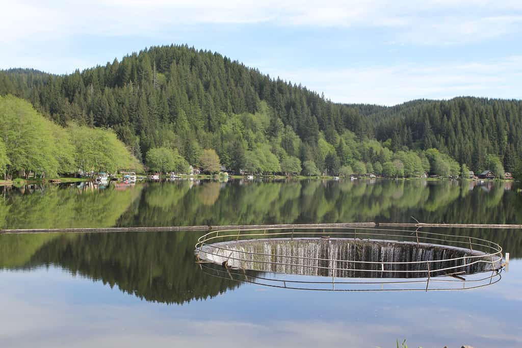 Fishhawk Lake is a beautiful small lake in the Coastal range of Oregon about 70 miles from Portland. It is a private man-made lake. The photo illustrates the drainage channel and the reflection.