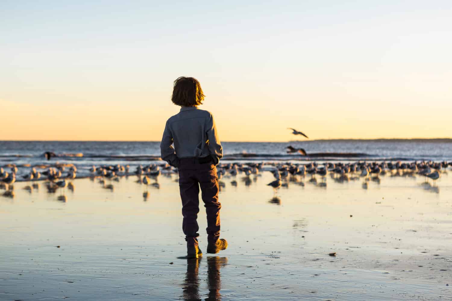 6 year old boy and seagulls, St. Simon's Island, Georgia